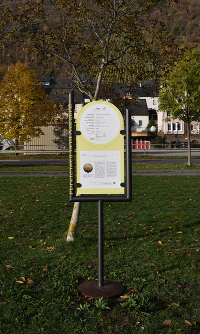 Bild der Infotafel des Mars am Planetenweg in Sankt Aldegund